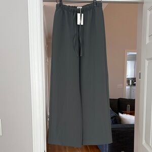 Aritzia Lodge Pants - Sagesse - XS - NWT